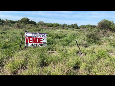 Terrenos Venta Santiago Del Estero Vendo 20 hectreas en La Banda.